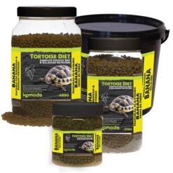 Komodo dandelion tortoise food